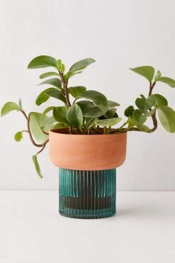 Craighill Shop -Craighill Shop unnamed file 381